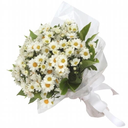 Margaridinhas Brancas