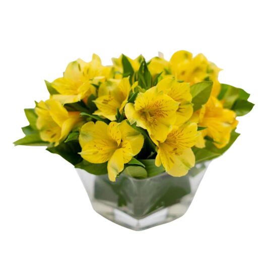 Arranjo de Astromelia Amarela em vaso de Vidro Alissa