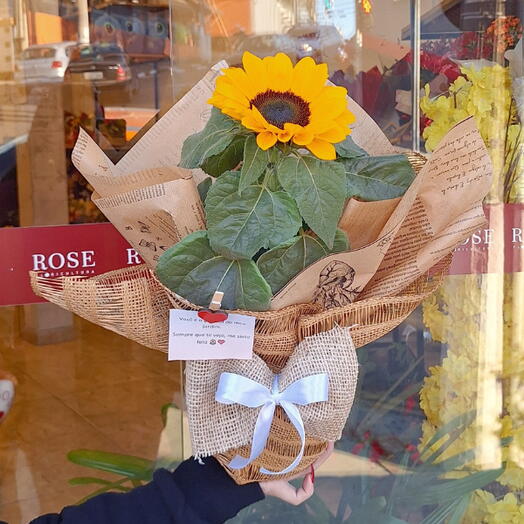 Girassol Sofisticado e Decorado em Tela