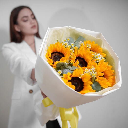 girassois ensolarados