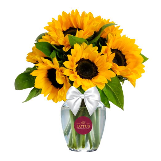 Surpresa de Girassol no Vaso