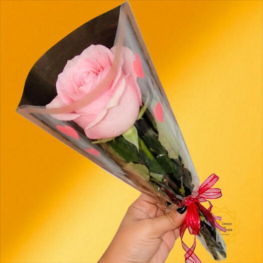 Rosa solitaria rosa -🌷 DIA DAS MÃES