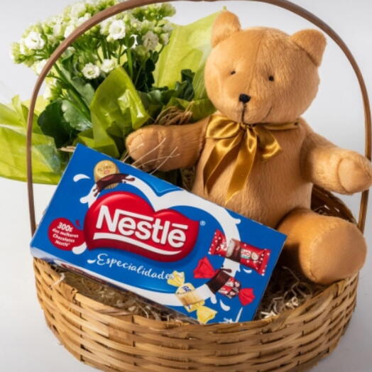 Cesta Chocolate