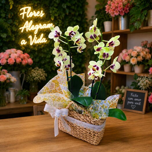 Cesta  com orquideas amarelas mescladas