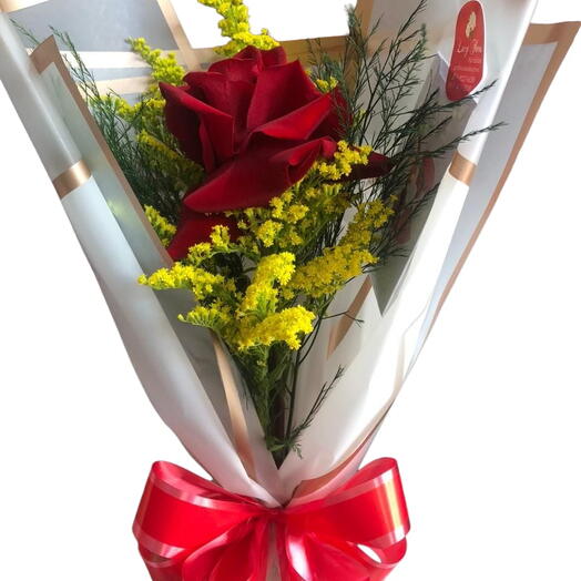 Rosa Vermelha Solitaria