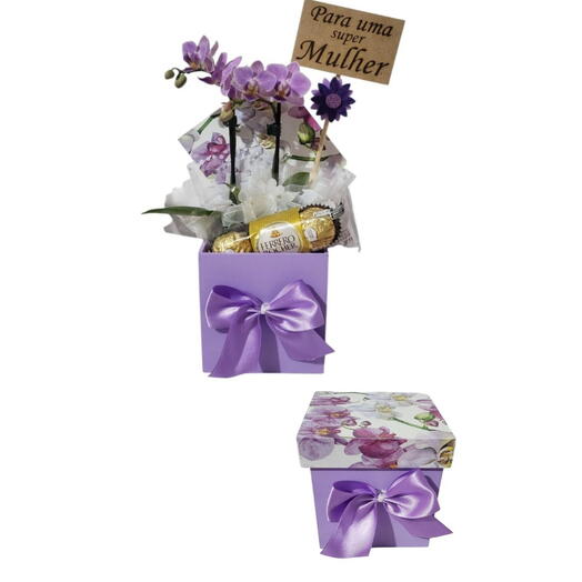 Mini Orquidea Encanto
