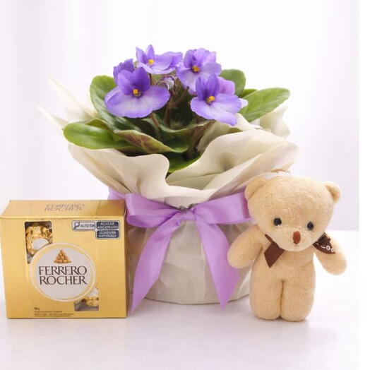 Kit de Presente Ferrero rocher, Violeta e Mini Ursinho