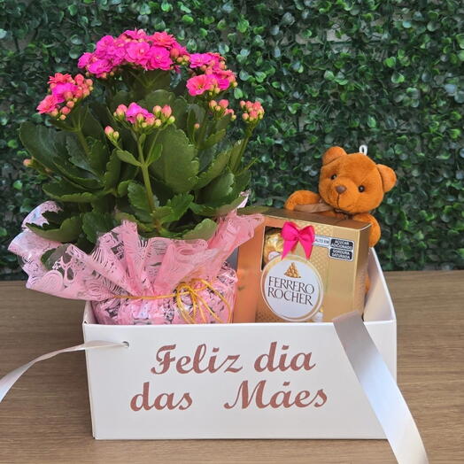 Cesta com flor, chocolate e Ursinho- Mimo Florido