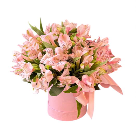 Box Cor de Rosa