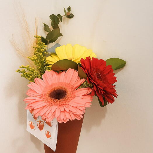 Cone Gerberas coloridas - Trad.3