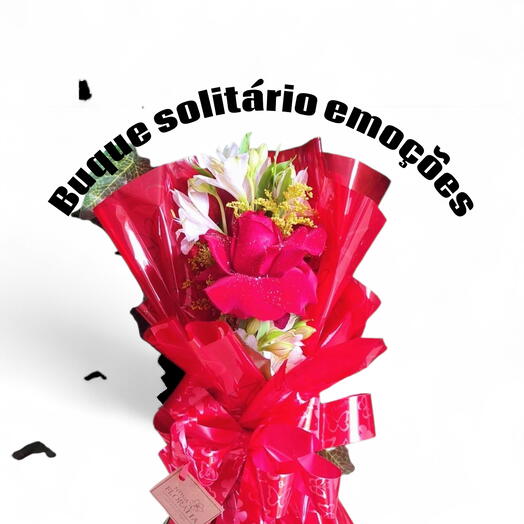 Buque Solitario Emoções