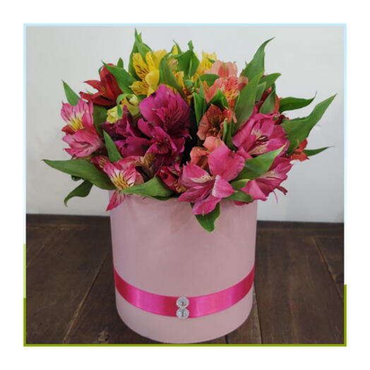 Buque Amor que Floresce