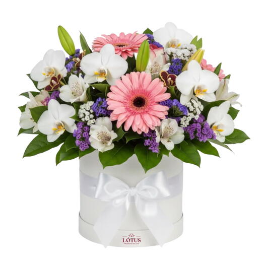 Box Flores do Campo Luxo