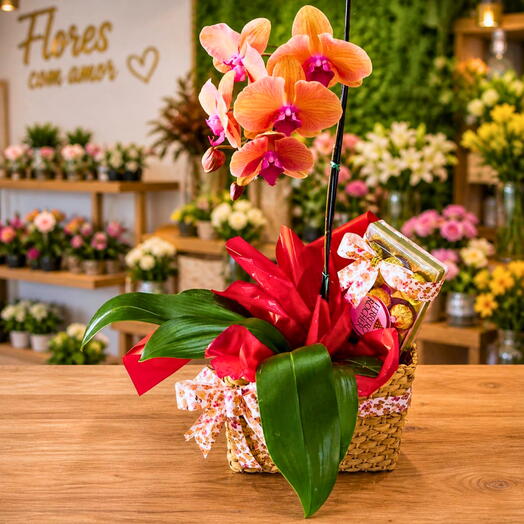 Cesta Orquidea Phalaenopsis com Chocolate