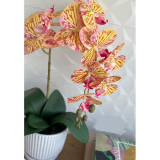 Arranjo de Orquidea Mesclada em Silicone com um Haste