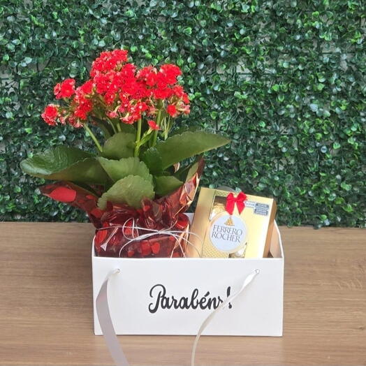 Flores para presente- Mimo Florido