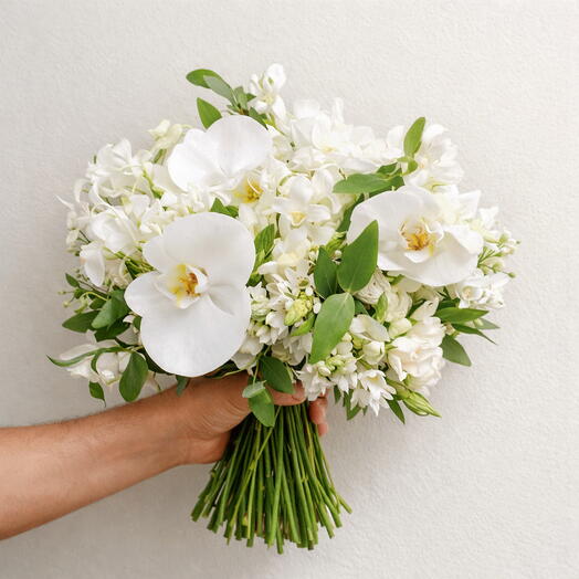 Buque de Noiva Phalaenopsis