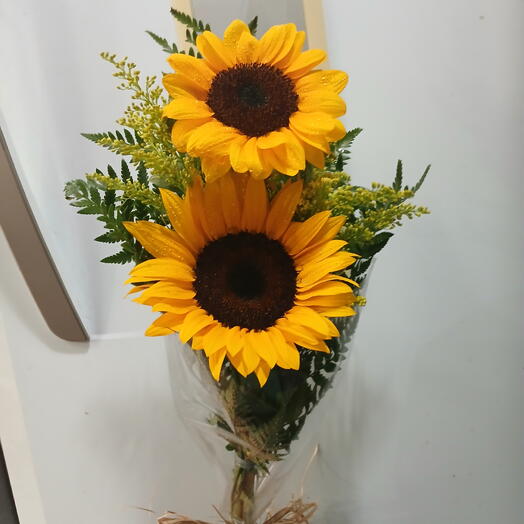 duo de girasol