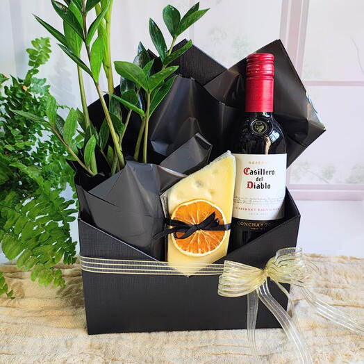 Cesta Queijos e Vinhos Prosperidade Zamioculca