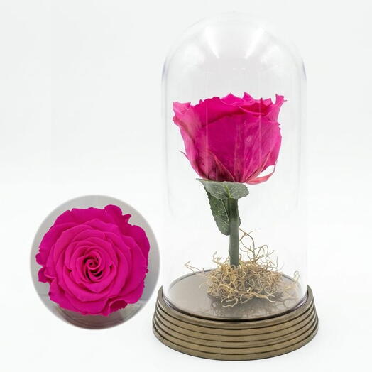ROSA ENCANTADA PINK