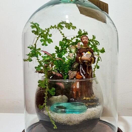 Terrario Cupula