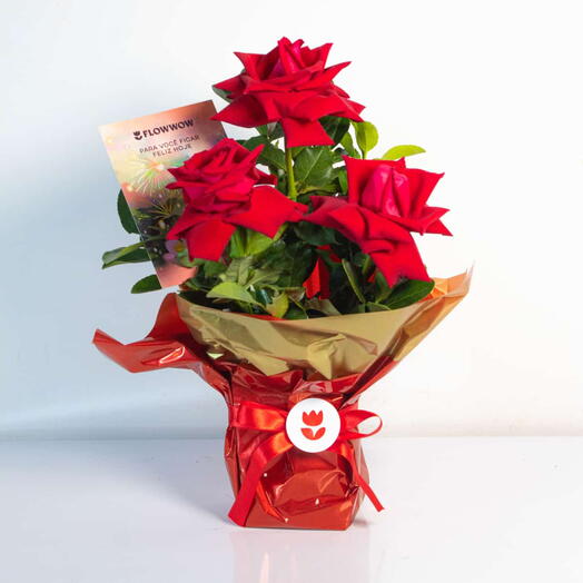 Arranjo de 3 Rosas Vermelhas