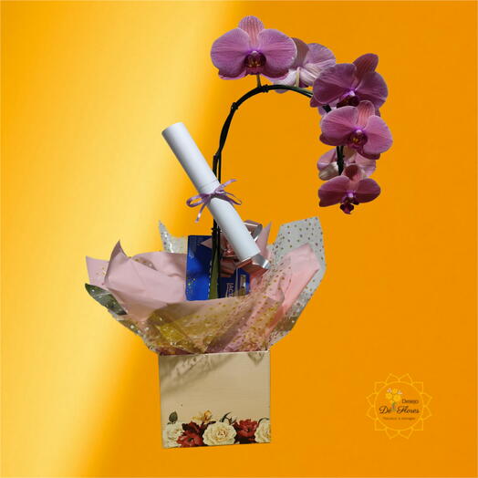 Orquidea Amor Belo com Cx. Bombons