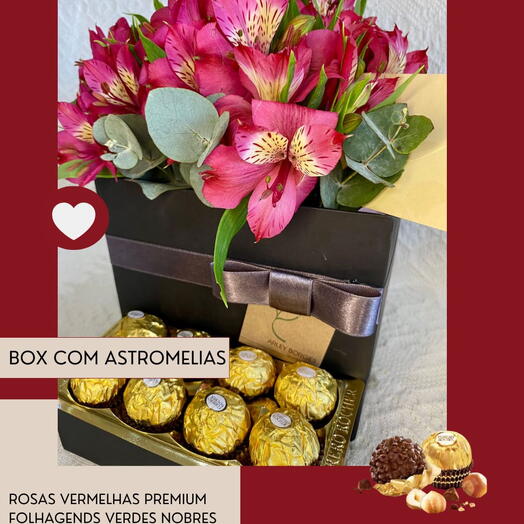 BOX COM ASTROMELIAS