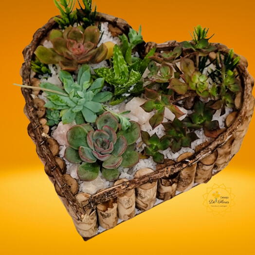 Mini Jardim Amor de Coração