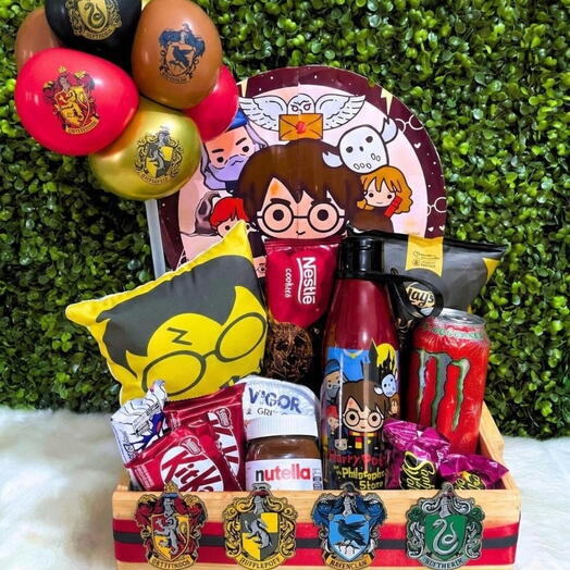 Caixote Harry Potter