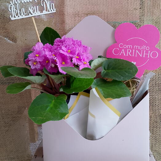 Box envelope
