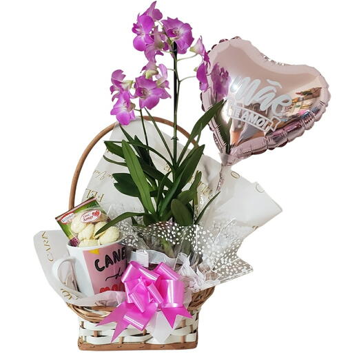 Cesta orquidea encanto