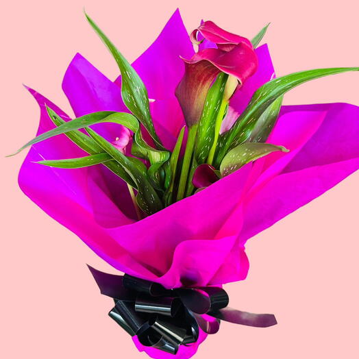 Calla