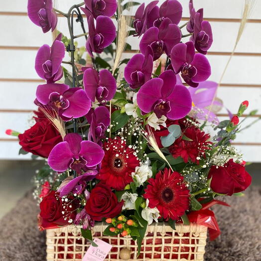 Arranjo de Orquideas no Bau