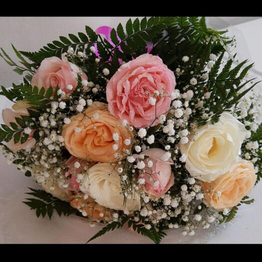 Buque 12 rosas coloridas  e gips