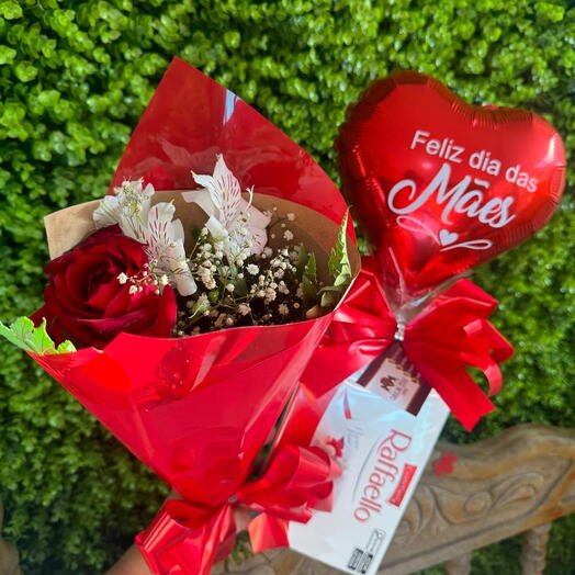 M1 - Rafaello Mães