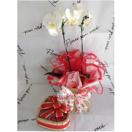 Orquidea com Bombons