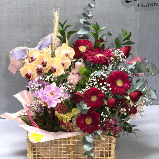 Orquidea no Bau de Palha