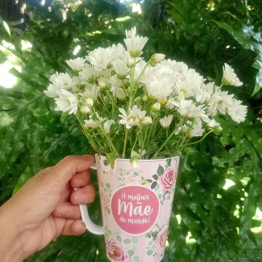 Canecas mae