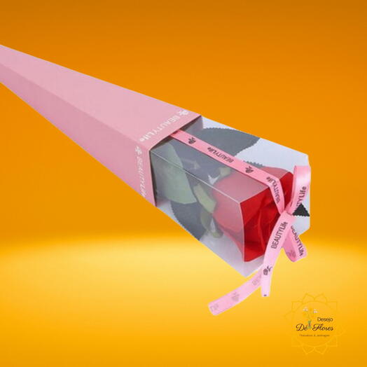 Rosa Belissima - Rosa