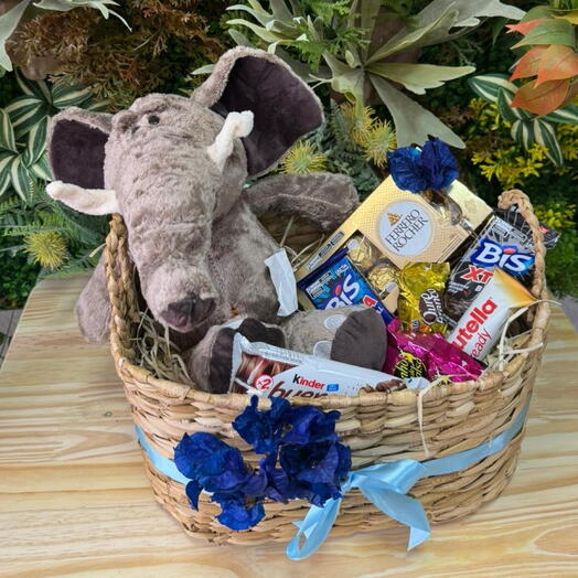 Cesta Elefante M