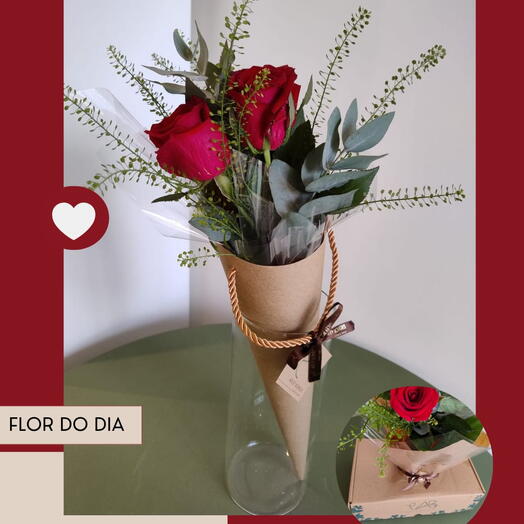 FLOR DO DIA - COLEÇÃO NAMORADOS
