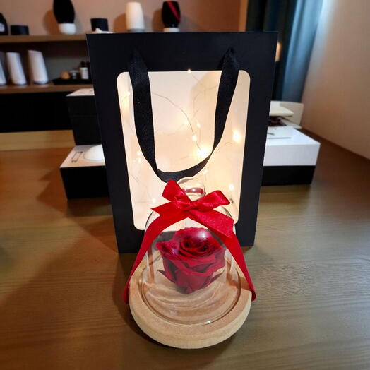 Rosa encantada (rosa preservada)