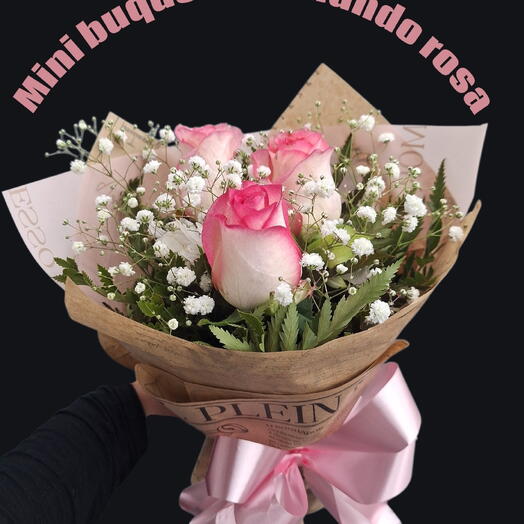 Mini Buque Meu Mundo Rosa