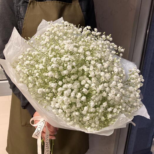 Buquê de Gypsophila