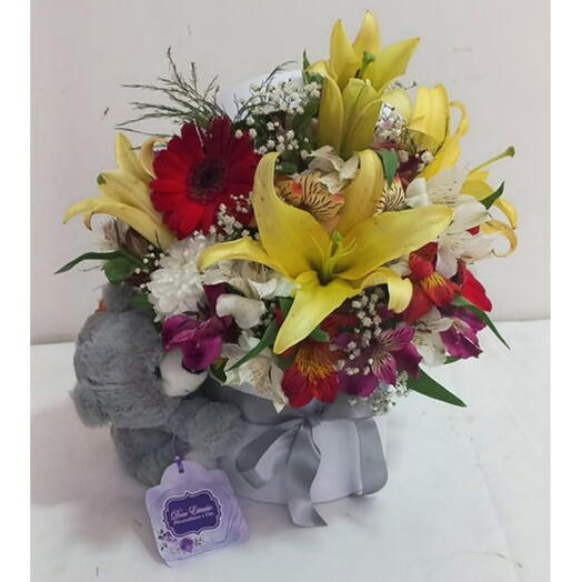 Box Momento de Fofura