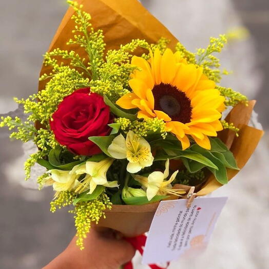 Raio de Sol