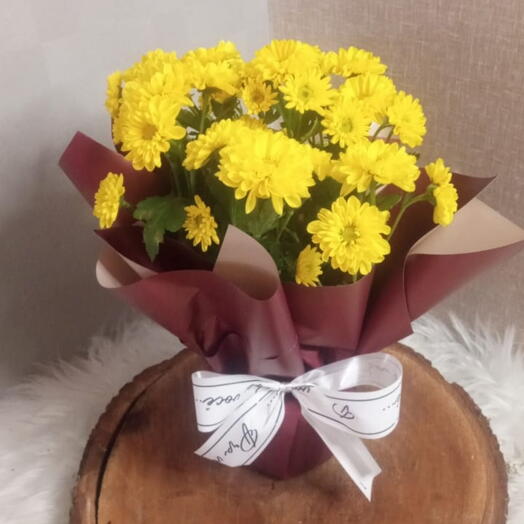 mini flores do campo amarela