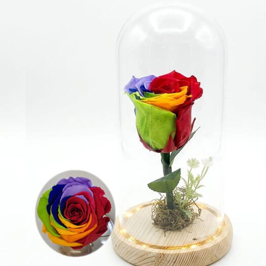 Rosa Encantada- Arco Iris - Cupula de Vidro
