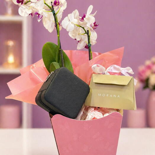 Kit elegância